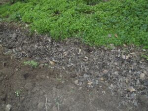 10421148_475949669262385_1003420565427921707_n