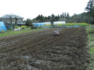 12049353_480085802182105_745800839923233055_n