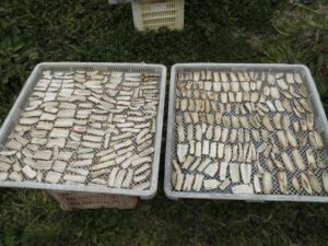 12802990_474901906033828_4117672577177567399_n