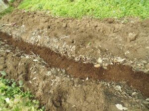 12814652_475949762595709_7952559335908996318_n