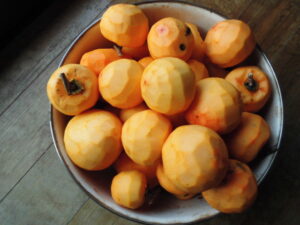 渋柿を干しました。その１