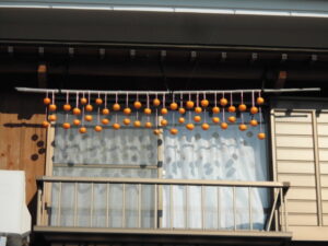 渋柿を干しました。その３